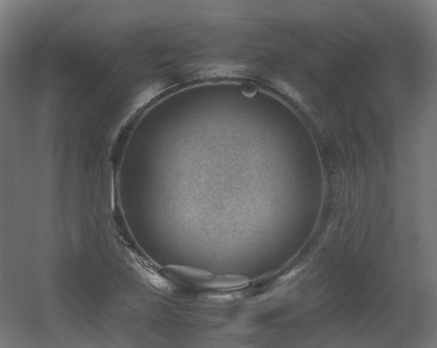 X0000060551219200511031208