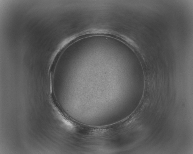 X0000060551223200511031208