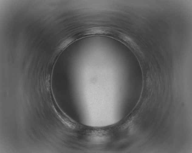 X0000060551233200511031208