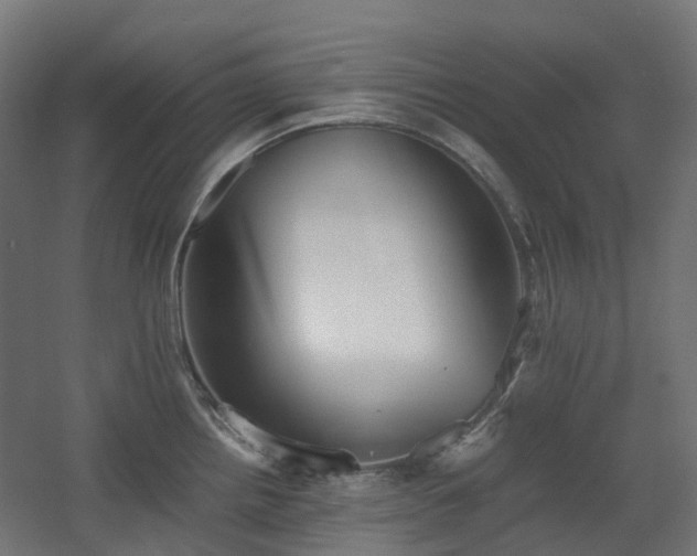 X0000060551242200511031208
