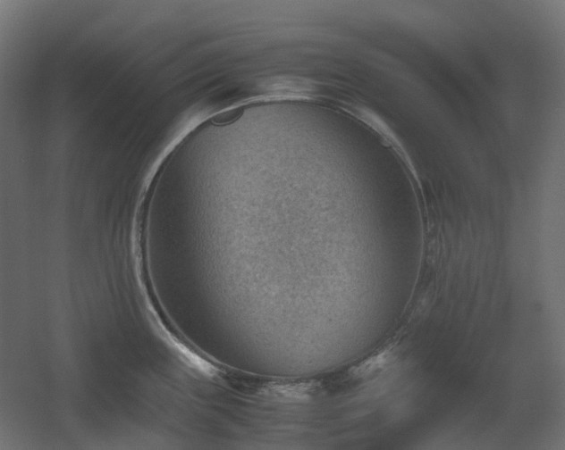 X0000060551243200511031208