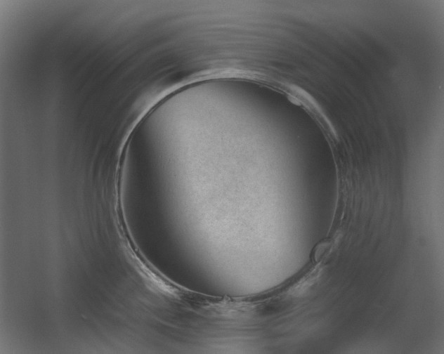 X0000060551244200511031208