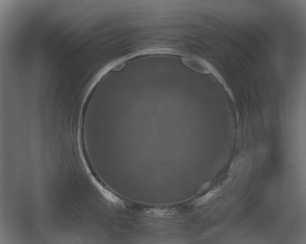 X0000060551245200511031208