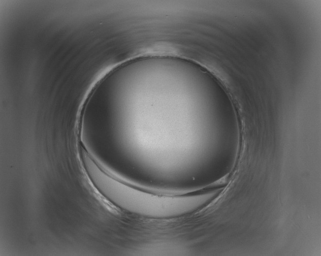 X0000060551248200511031208