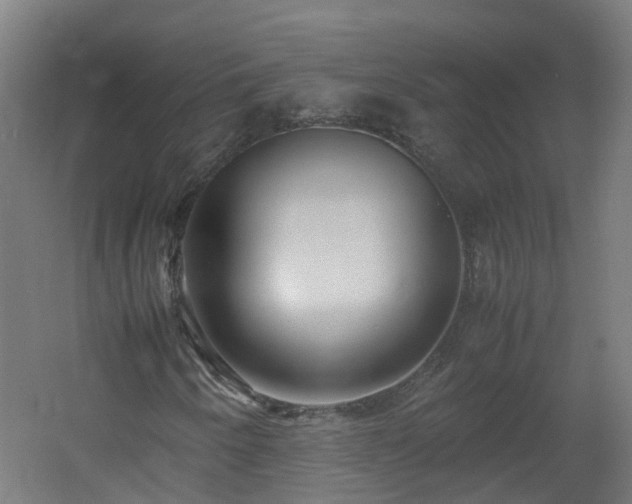 X0000060551250200511031208