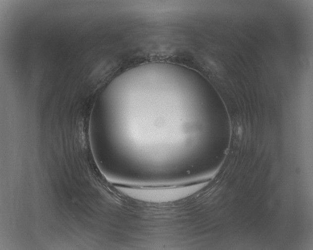 X0000060551252200511031208