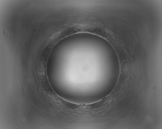 X0000060551253200511031208