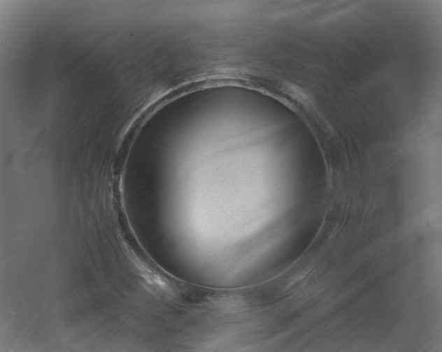 X0000060551260200511031207