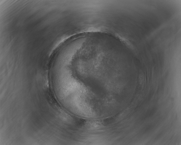 X0000060551262200511031207