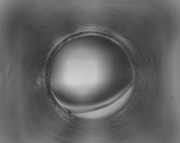 X0000060551264200511031207