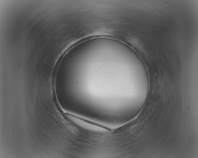X0000060551268200511031207