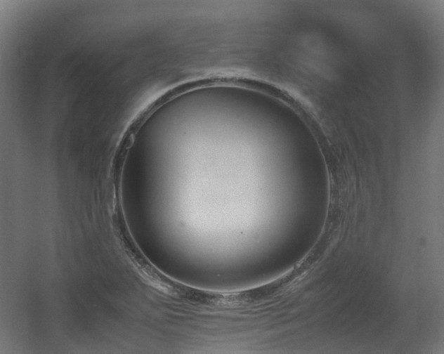 X0000060551271200511031207