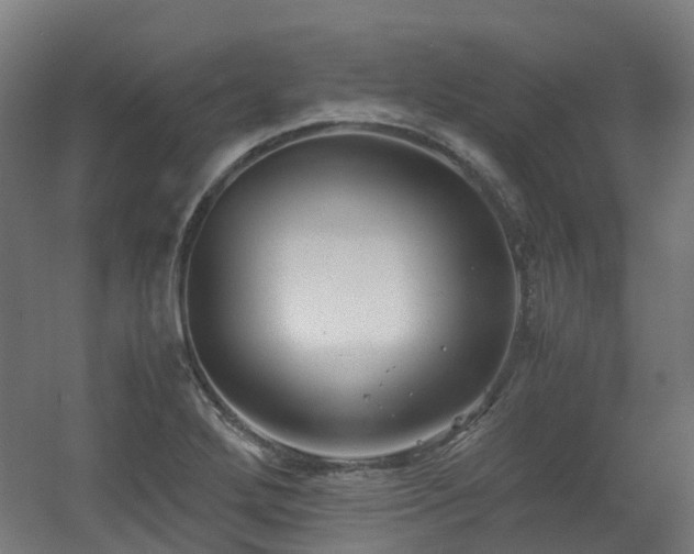X0000060551272200511031207