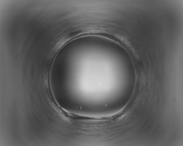 X0000060551273200511031207