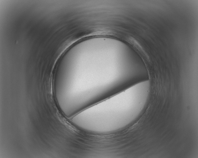 X0000060551276200511031207