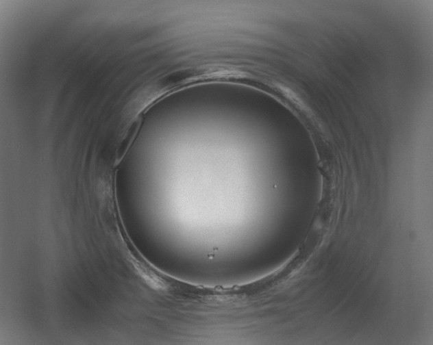 X0000060551281200511031207