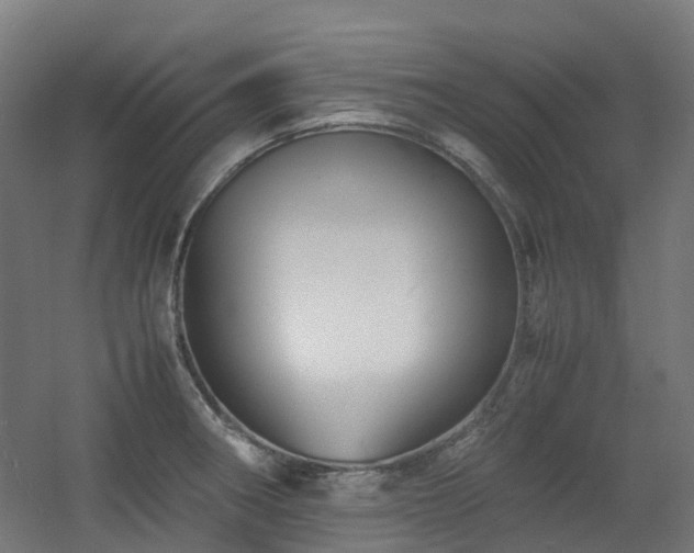 X0000060551282200511031207