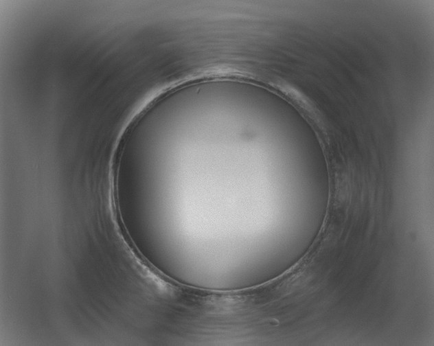 X0000060551286200511031207