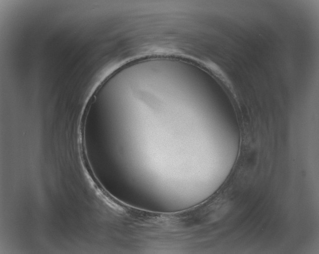 X0000060551287200511031207