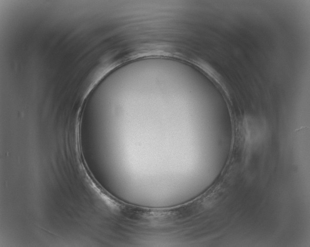 X0000060551290200511031207