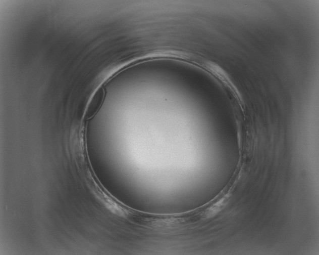 X0000060551292200511031207