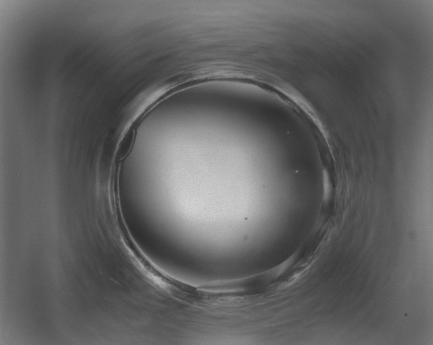 X0000060551293200511031207