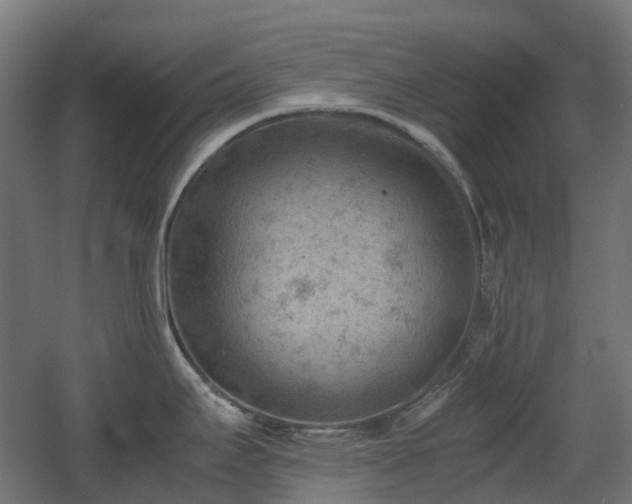 X0000060551295200511031207