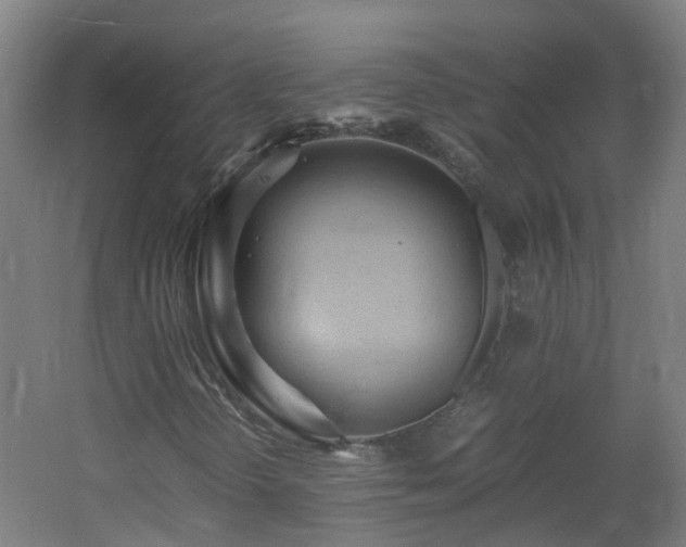 X0000060551298200511031206