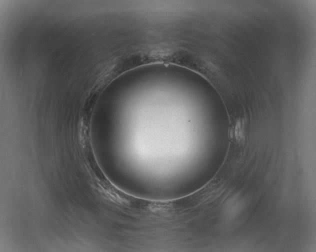 X0000060551299200511031206