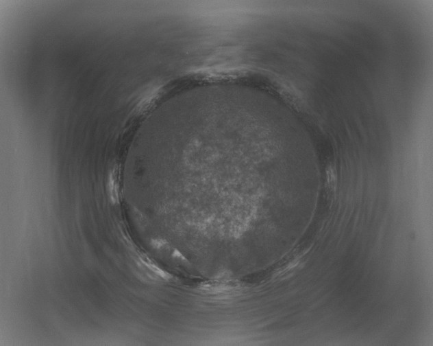 X0000060551300200511031206