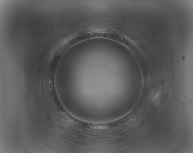 X0000060551303200511031206