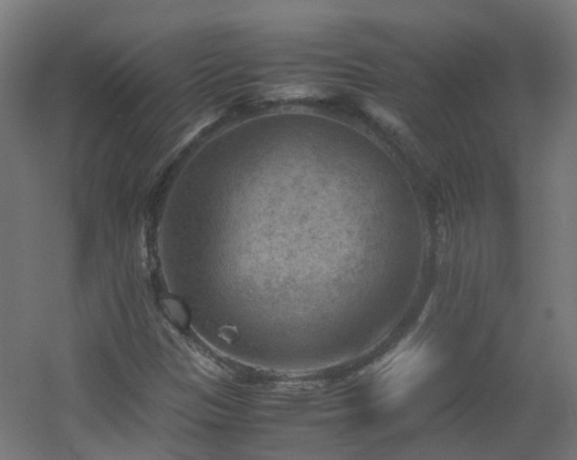 X0000060551305200511031206