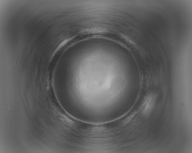 X0000060551306200511031206