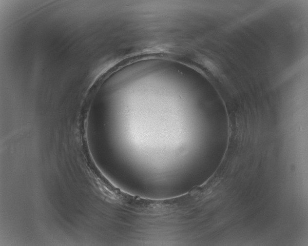 X0000060551308200511031206