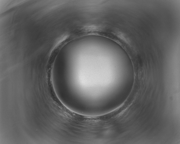 X0000060551309200511031206
