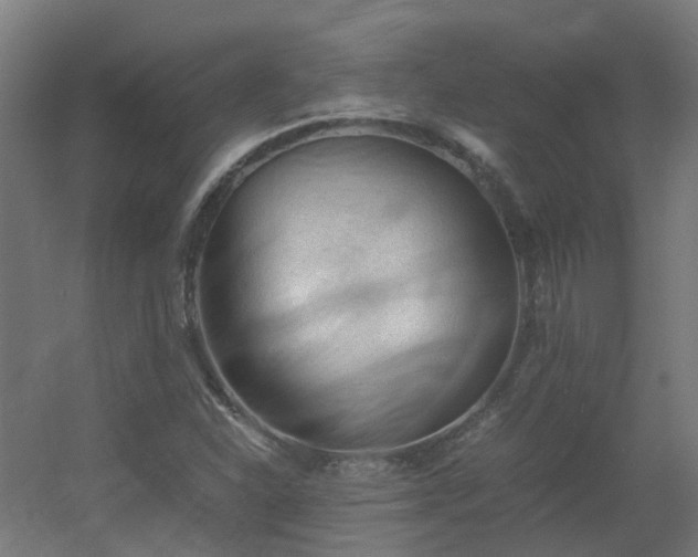 X0000060551310200511031206
