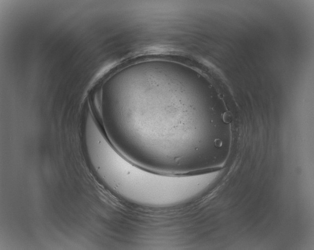 X0000060551314200511031206