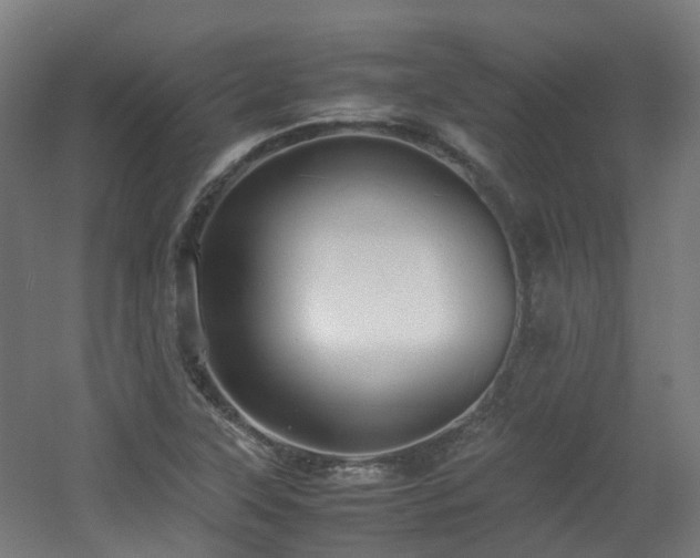 X0000060551315200511031206