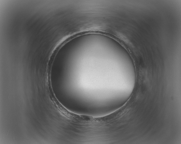 X0000060551316200511031206