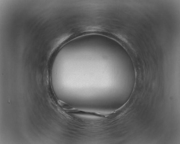 X0000060551317200511031206