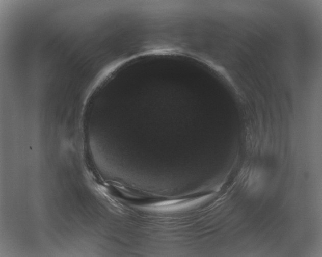 X0000060551319200511031206