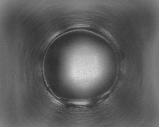 X0000060551321200511031206