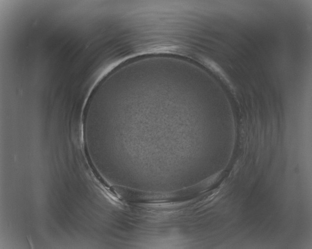 X0000060551324200511031206