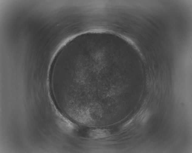 X0000060551327200511031206