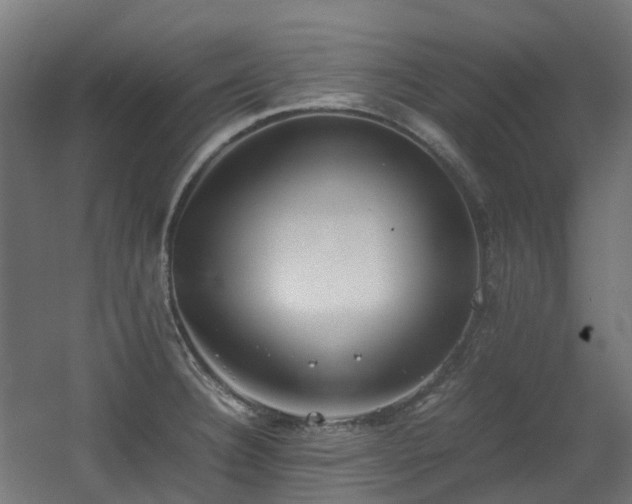 X0000060551332200511031207