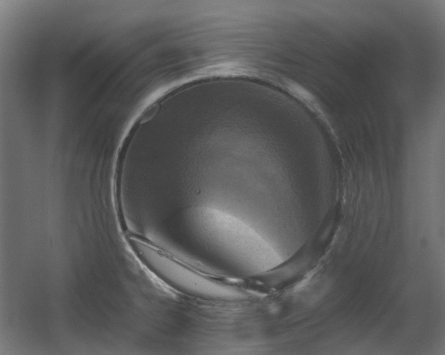 X0000060551334200511031207