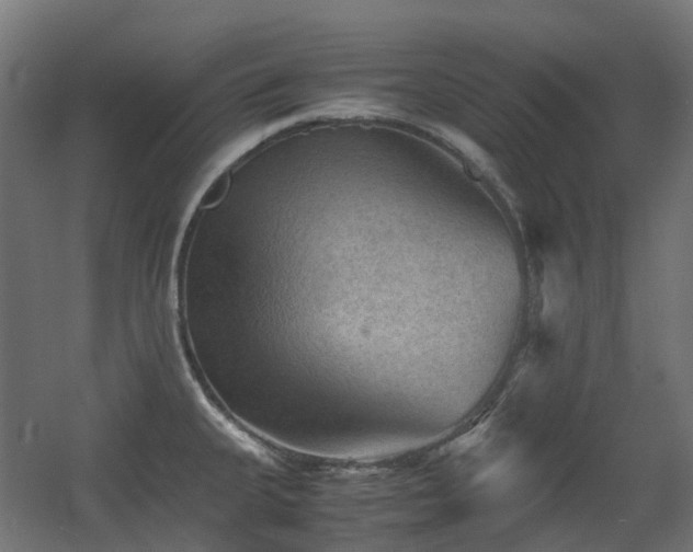 X0000060551335200511031207
