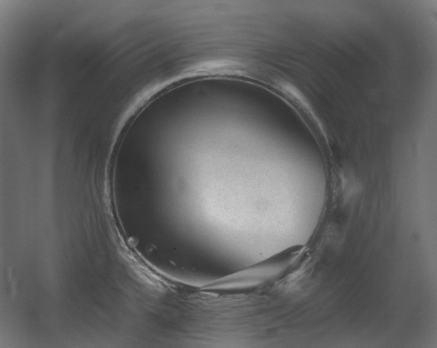 X0000060551336200511031207