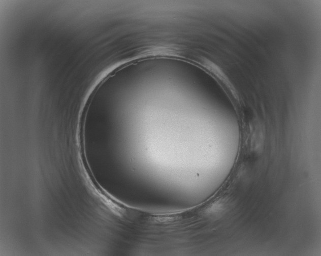 X0000060551339200511031207