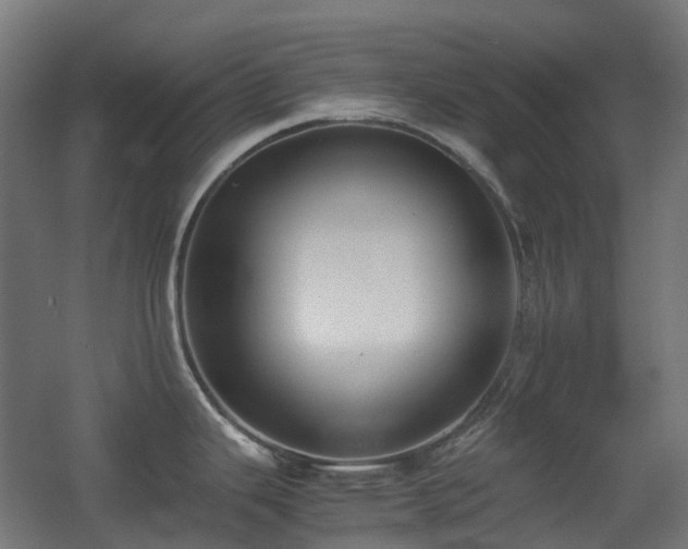 X0000060551343200511031207